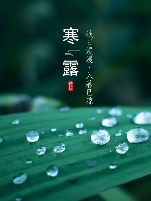 寒露，露似真珠月似弓