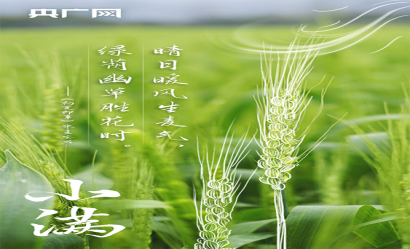 小滿｜人生最好是小滿，在詩詞中領略最美初夏！?
